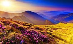 Tử vi cung hoàng đạo thứ năm của bạn (18/12/2014)