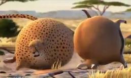 Thế giới động vật qua lăng kính 'tròn vo'