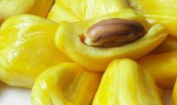 Ăn mít làm giảm nguy cơ ung thư
