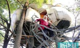 Độc đáo: Ngôi nhà trên cây của cụ ông 60 tuổi