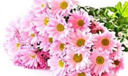 Tử vi cung hoàng đạo thứ bảy của bạn (20/12/2014)