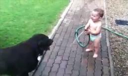 Bé cười giòn tan khi xịt nước vào chó cưng