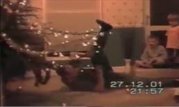 Giáng sinh hài hước