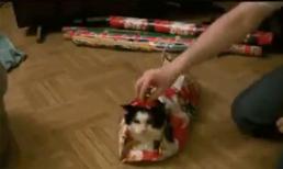 Món quà giáng sinh