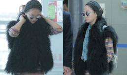 Châu Tấn mặc đồ lôi thôi xuất hiện ở sân bay