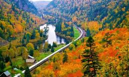 Tử vi cung hoàng đạo thứ năm của bạn (25/12/2014)