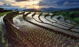 Chiêm ngưỡng kiệt tác ruộng bậc thang tuyệt đẹp trên thế giới