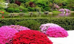 Tử vi cung hoàng đạo thứ sáu của bạn (26/12/2014)