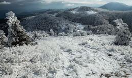 Ngắm 2 hiện tượng băng tuyết hiếm và tuyệt đẹp trên thế giới