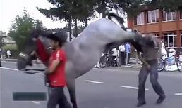 Hại người hóa hại mình