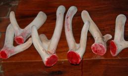 Những 'vị thuốc' tưởng quý hiếm nhưng lại gây hại