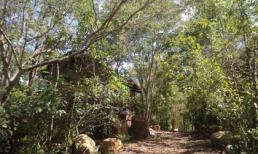 Bị cấm yêu, 2 học sinh lớp 10 ôm nhau treo cổ tự tử