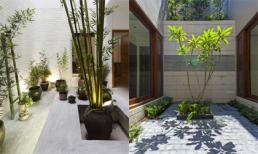 Tạo không gian sống sinh thái cho nhà phố với giếng trời