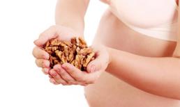 Con thông minh nhờ mẹ ăn quả óc chó