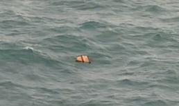  TRỰC TIẾP: Tìm thấy thi thể nghi hành khách máy bay AirAsia