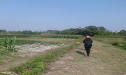 Kẻ giết chị, giấu xác còn bình thản giả vờ đi tìm