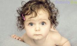 Bé gái 11 tháng tuổi bị chó pitbull cắn xé tới chết