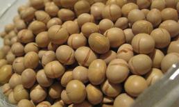 7 loại "viagra" rau quả hỗ trợ đắc lực cho phụ nữ