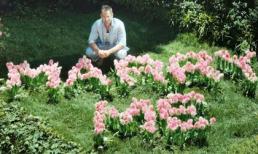 Tuyệt tác quảng cáo mùa Valentine lan truyền chóng mặt trên internet