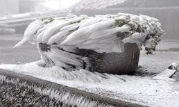 Băng tuyết đẹp kì vĩ trên đỉnh Mẫu Sơn