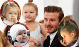 Harper chưa đầy 3 tuổi và 6 lần tham dự New York Fashion Week