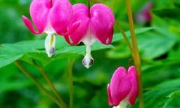 Chủ Nhật của bạn (16/2)