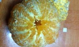 Xuất hiện quýt độc Trung Quốc vỏ vàng tươi, bên trong mốc?