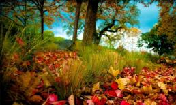 Thứ Ba của bạn (18/2)