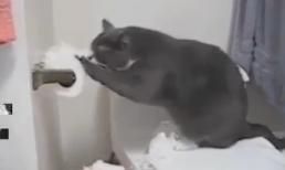 Clip siêu hài: Đừng đùa với động vật