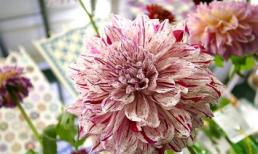 Thứ Tư của bạn (19/2)