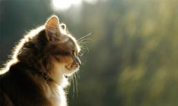 Thứ Năm của bạn (20/2)