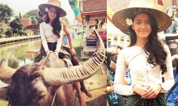 "Ma nữ Thái" làm thôn nữ cưỡi trâu xinh đẹp trong phim mới