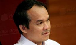 Hoàng Anh Gia Lai giàu nhờ đâu?