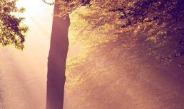 Thứ Ba của bạn (25/2)