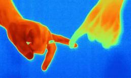 Bi kịch của mối tình chú cháu