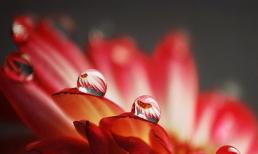 Thứ Sáu của bạn (28/2)