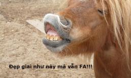 Anh đẹp trai, anh vẫn cô đơn...