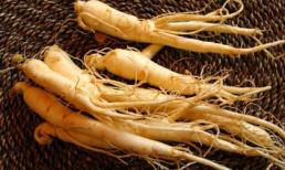 Cách dùng nhân sâm phòng chống bệnh tiểu đường