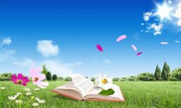 Thứ Bảy của bạn (8/2)