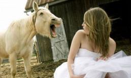 Con gái và những khoảnh khắc hài hước bên... ngựa