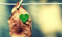 Đừng bao giờ ngã giá với yêu thương!