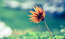 Khám phá tuần mới của bạn (10/3-16/3)