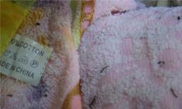 Khăn 'Made in China' ngâm nước có ấu trùng lạ