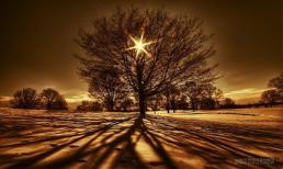 Thứ Năm của bạn (13/3)