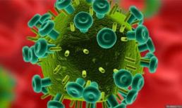 Hi vọng mới từ gel chống HIV