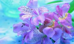 Chủ nhật của bạn (16/3)