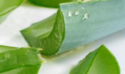 Chăm sóc làn da hoàn hảo từ mỹ phẩm thiên nhiên