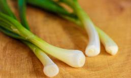 Hành lá - vị thuốc tuyệt vời cho bệnh loãng xương và gãy xương