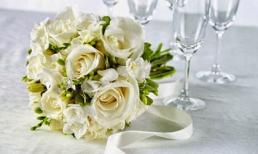 Khám phá tuần mới của bạn (17/3 - 23/3)