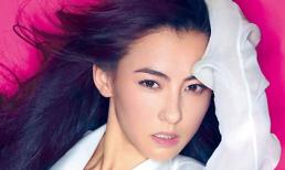 Ngắm vẻ gợi cảm của "gái hai con" Trương Bá Chi 